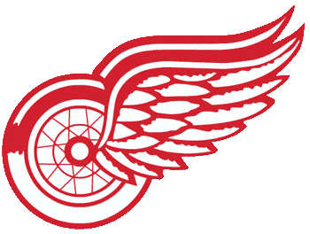 Detroit Red Wings 1973-1984 Alternate Logo fabric transfer